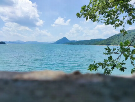 1659691650969936.png image.png